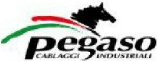 Pegaso Pegaso